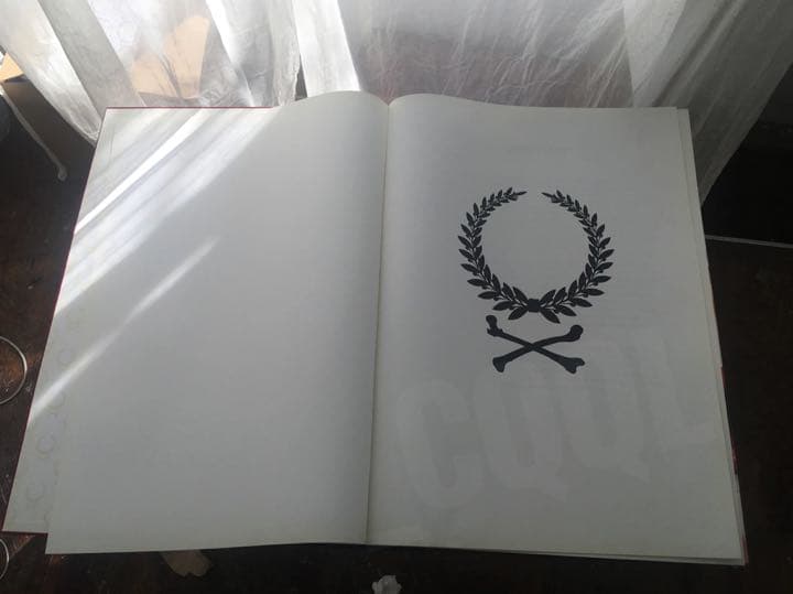 Surface to Air FLIP THE SCRIPT 500部 限定