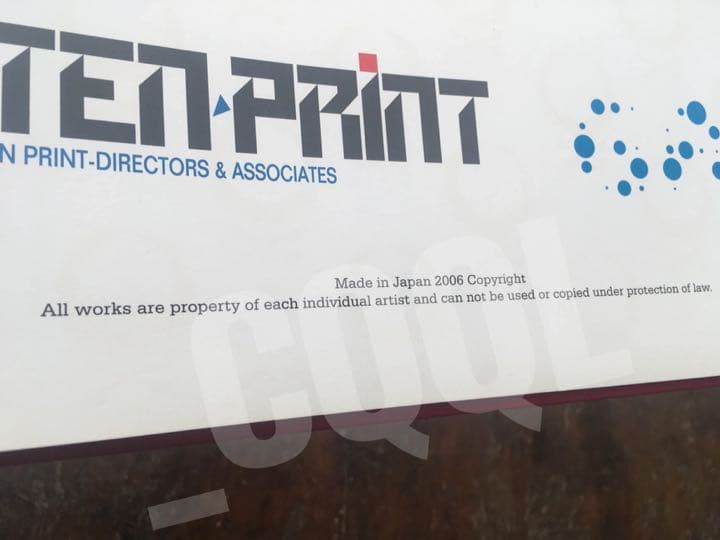 Surface to Air FLIP THE SCRIPT 500部 限定