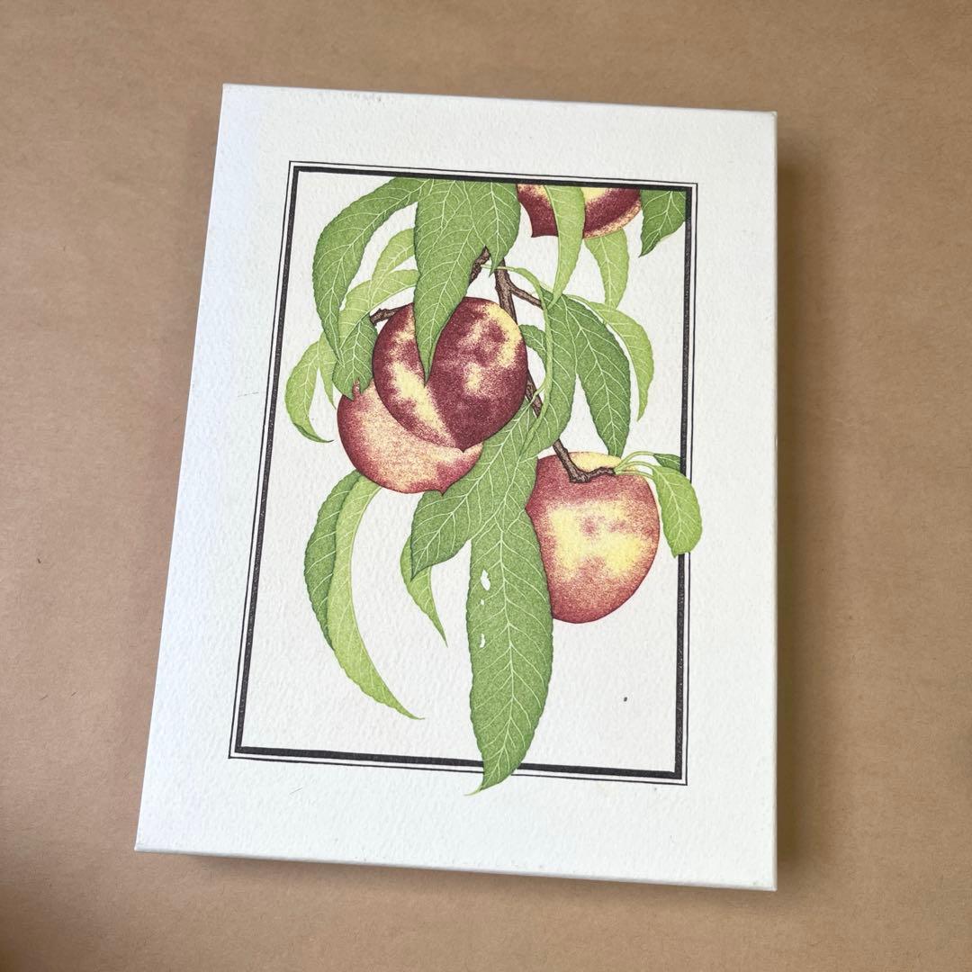 アリスのおいしい革命 DVD-BOX 3枚組 アリスウォータース シェパニース