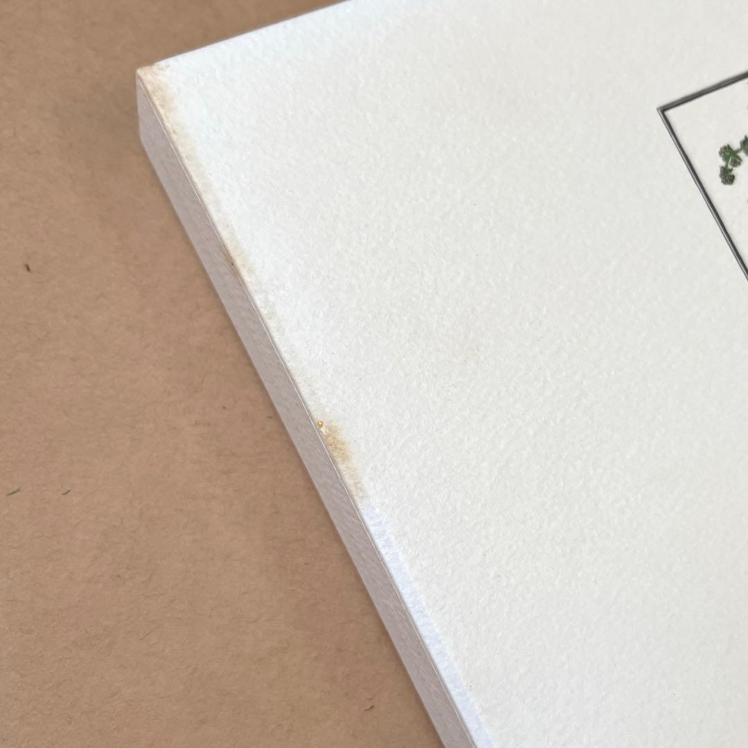 アリスのおいしい革命 DVD-BOX 3枚組 アリスウォータース シェパニース