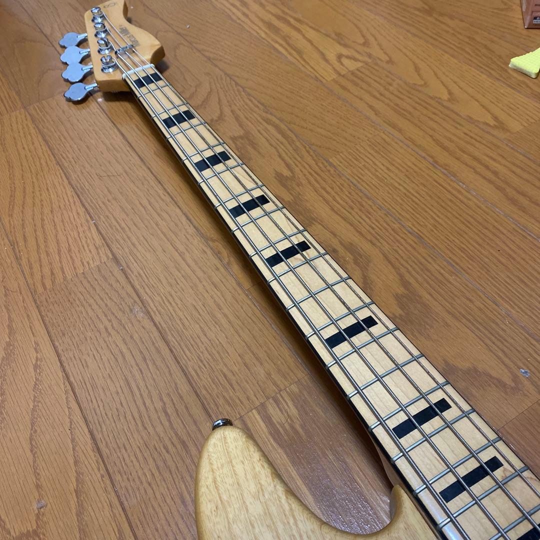 ベース sire v7 vin ash-4nt