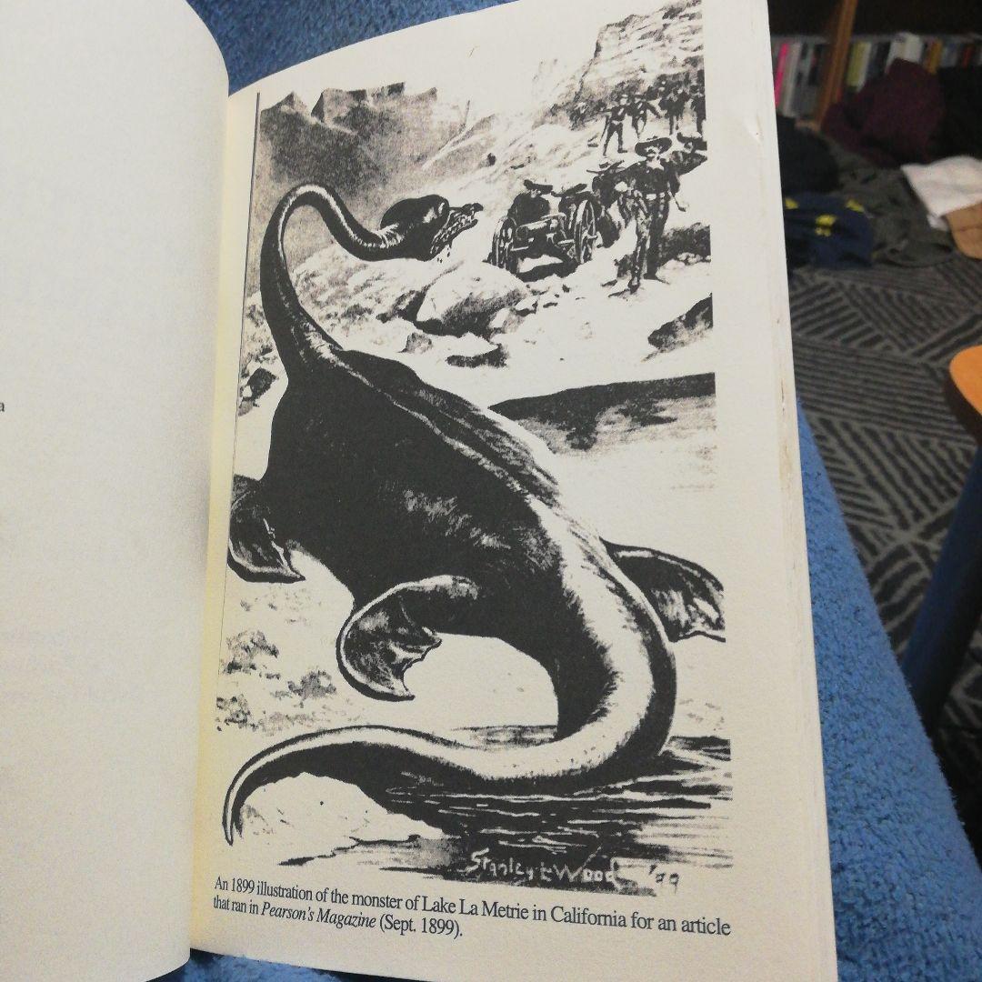 洋書 Mystery In Acambaro by Hapgood