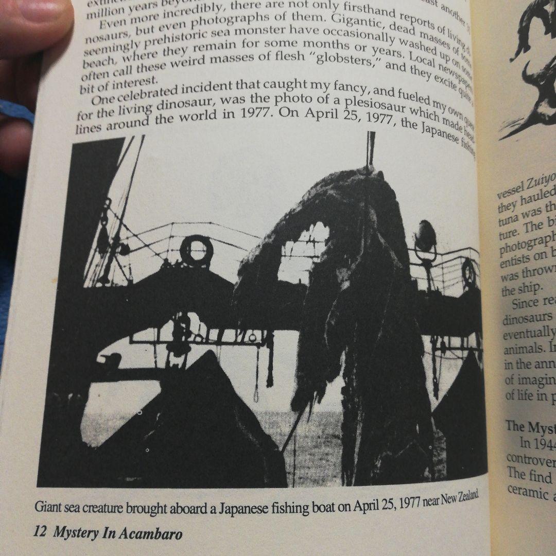 洋書 Mystery In Acambaro by Hapgood