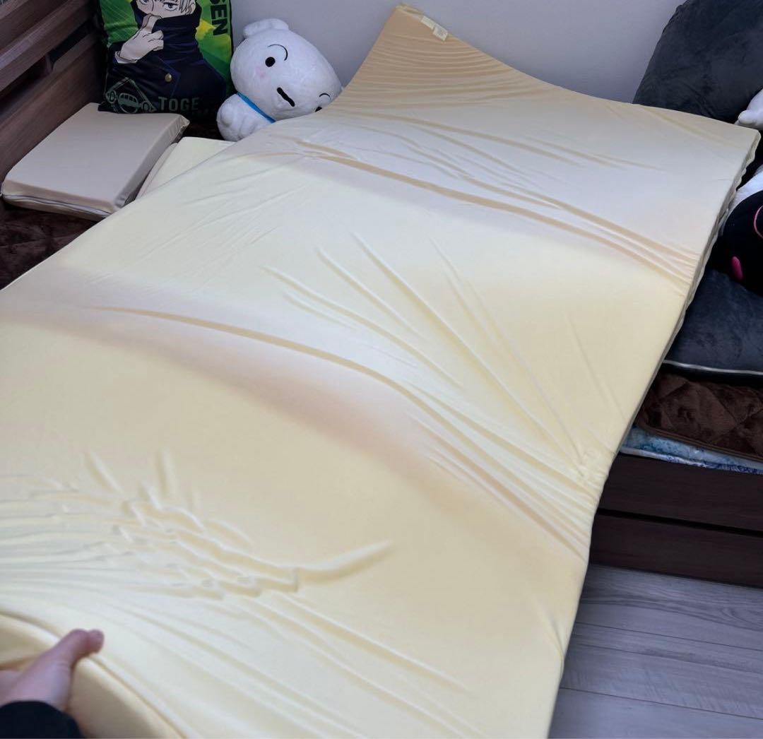 【ジュン ページ 】トゥルースリーパーシリーズ 低反発マットレス シングル