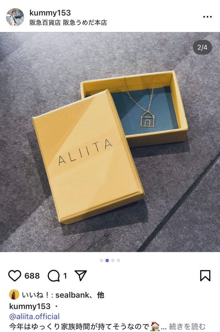ヤ*す様 即購入OK 新品 aliita アリータ ハウス 家 ネックレス ルビ