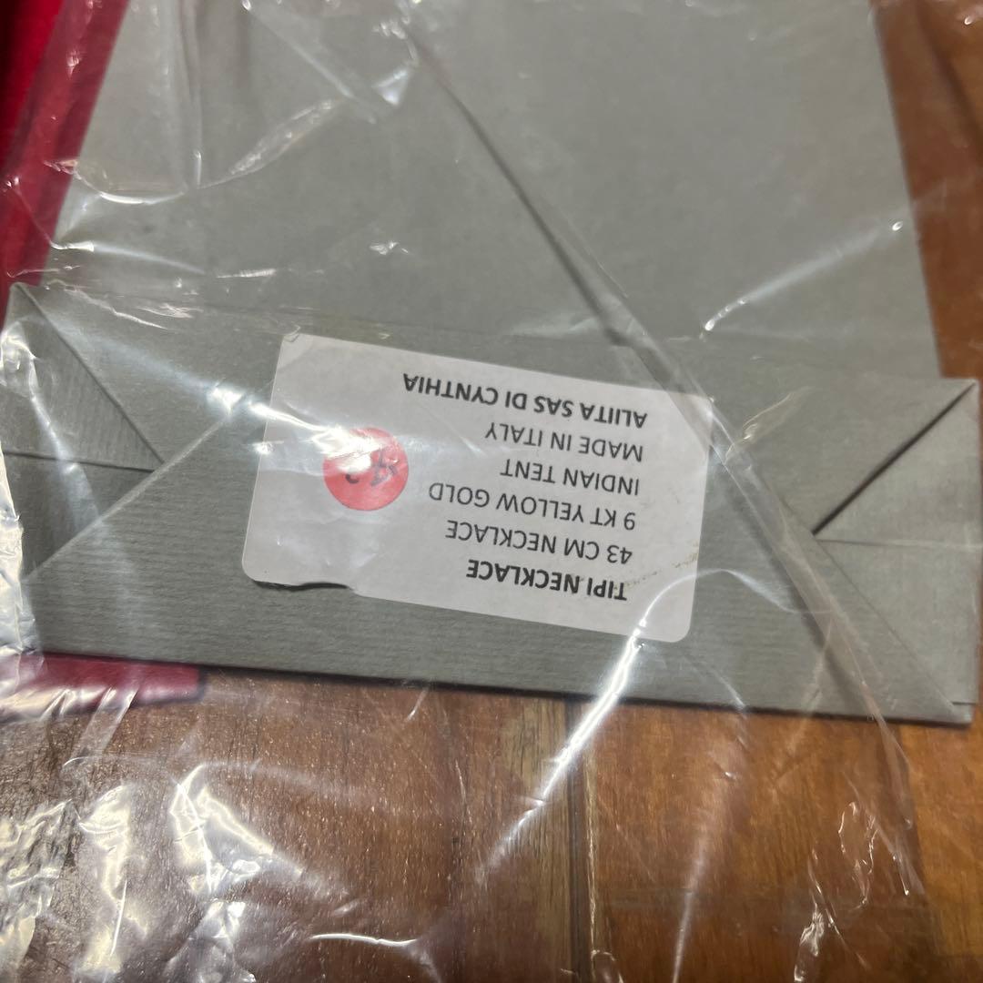 ヤ*す様 即購入OK 新品 aliita アリータ ハウス 家 ネックレス ルビ