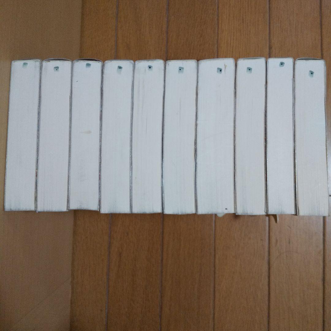 フランスの歴史をつくった女たち 全10巻 ギー・ブルトン