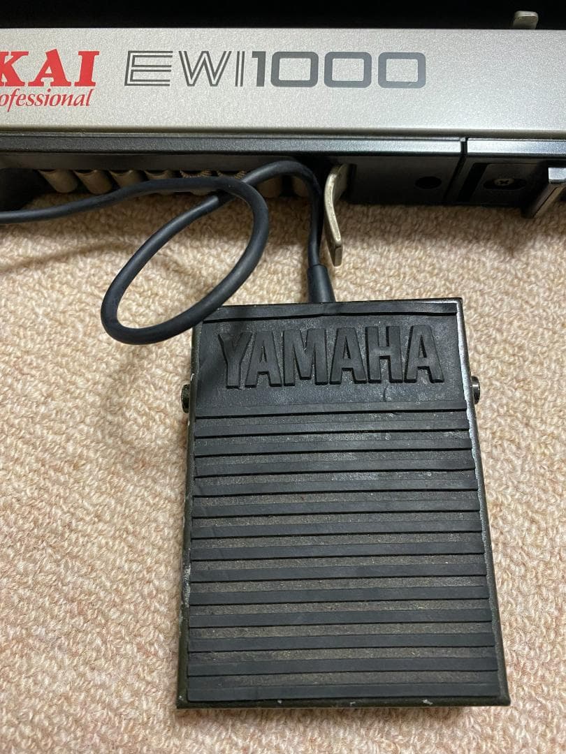 AKAI EWV2000 & EWI1000 セット(専用ハードケース付き）