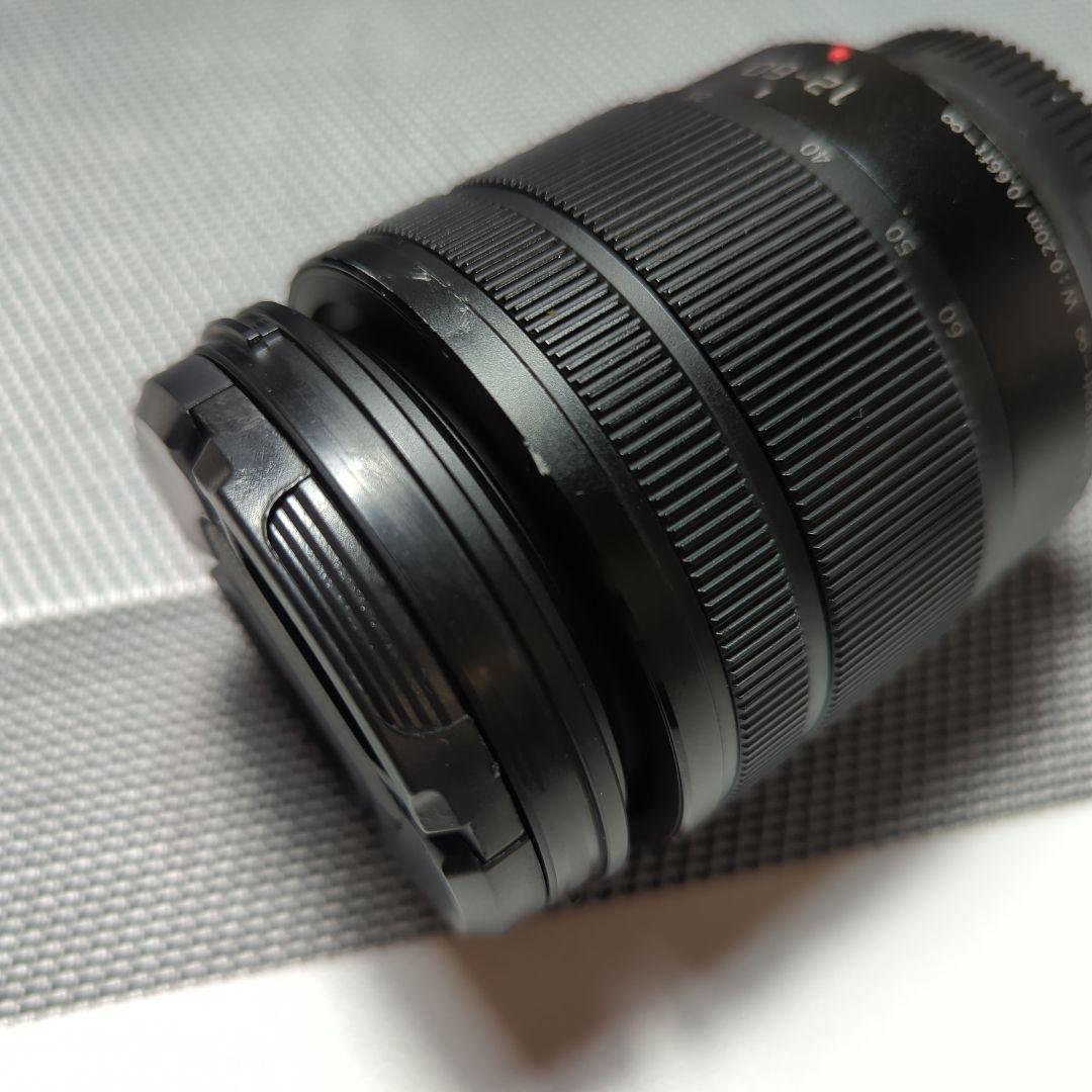 レンズ(ズーム) LUMIX G VARIO 12-60mm F3.5-5.6