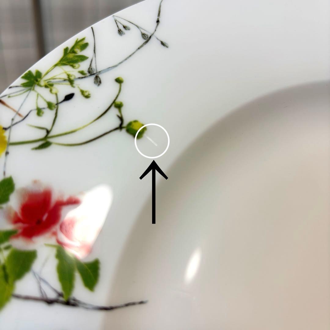 ローゼンタール フルールソヴァージュ 野花 28cm プレート皿 6枚セット