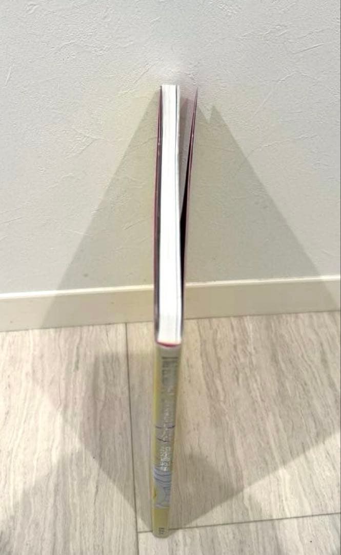 最安値♡美少女戦士セーラームーン　設定資料集　原画集　レゾネ　武内直子　イラスト