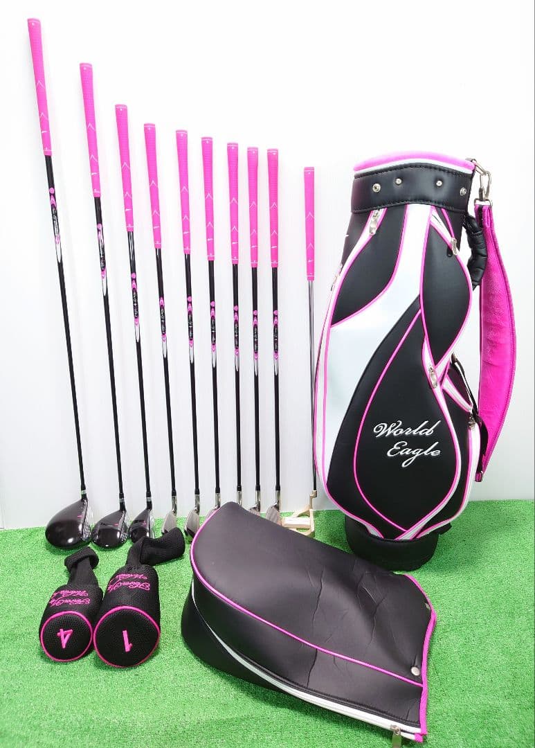 ワールドイーグル(WORLD EAGLE)FL-01 V2 10本セット【良品】