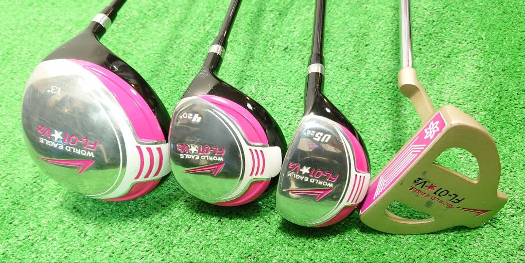 ワールドイーグル(WORLD EAGLE)FL-01 V2 10本セット【良品】