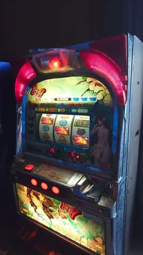 な*こ様 最終値下げ！！南国育ち4号機（稼働品）