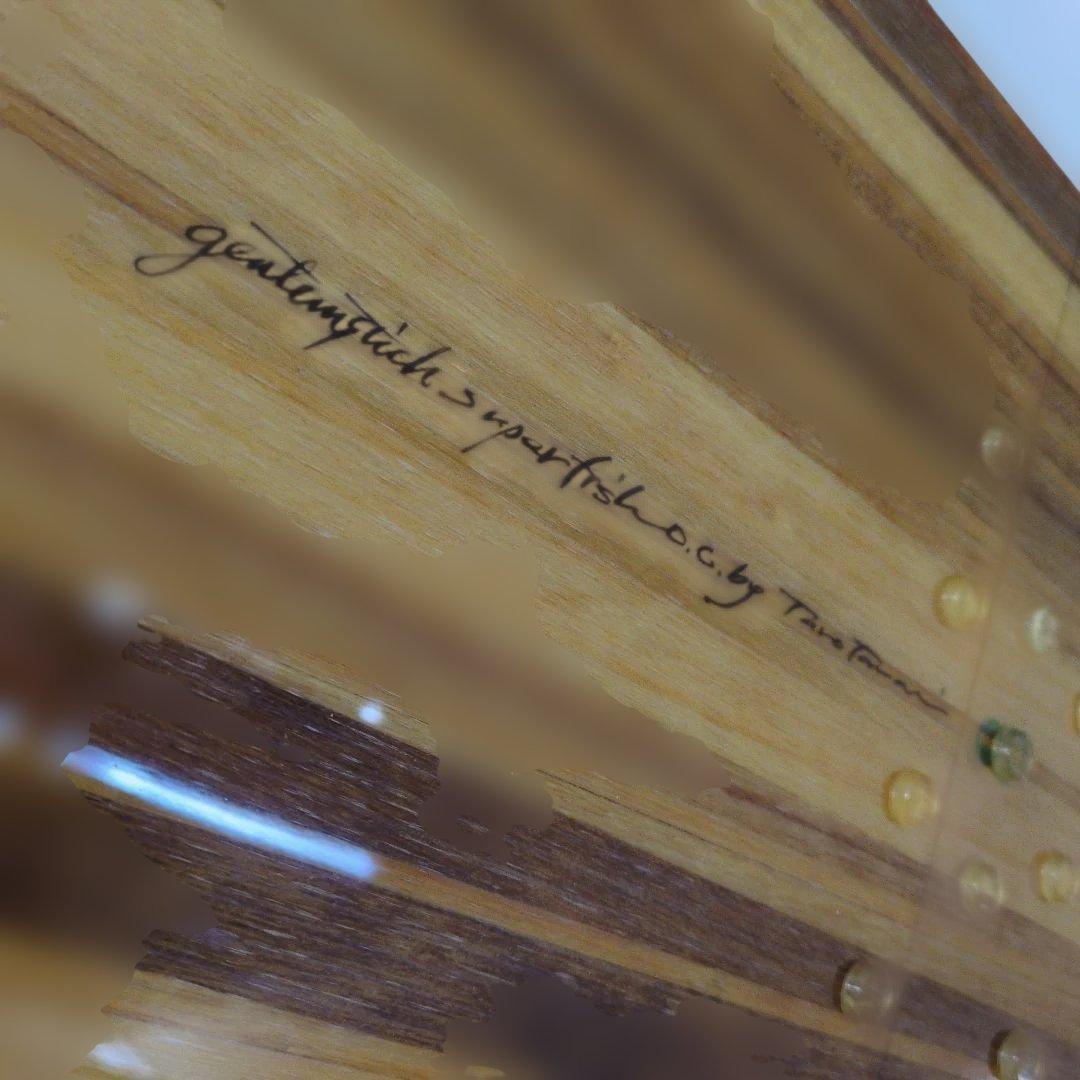 スノーボード GENTEMSTICK SUPER FISH OUTLINE CORE 176