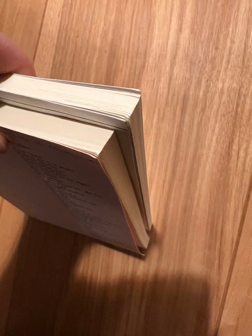 〈現在入手困難〉中森明菜　歌姫の奇跡　2冊セット