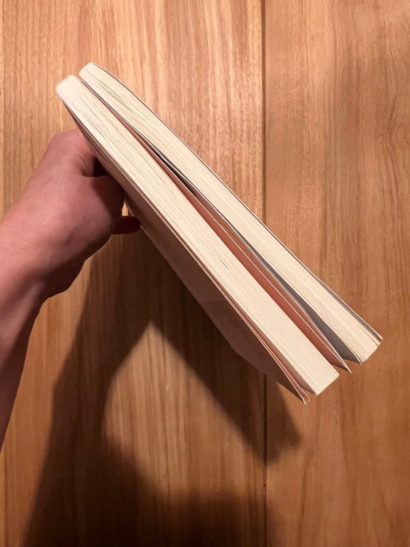 〈現在入手困難〉中森明菜　歌姫の奇跡　2冊セット