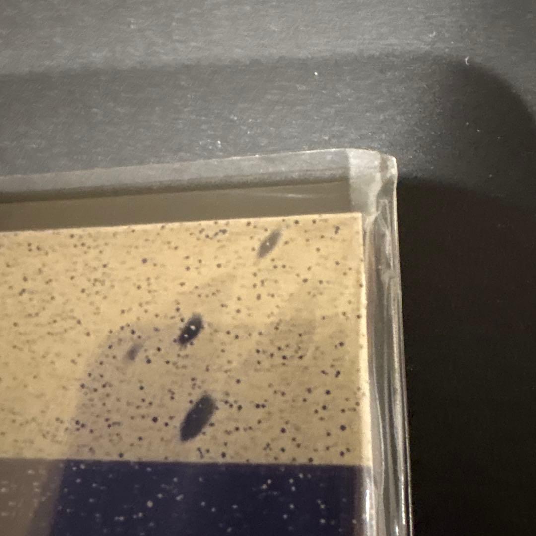 ハルカナルトキノカナタヘ　サントラレコード