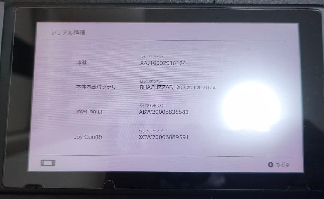 Nintendo Switch グレー 本体 充電器付き