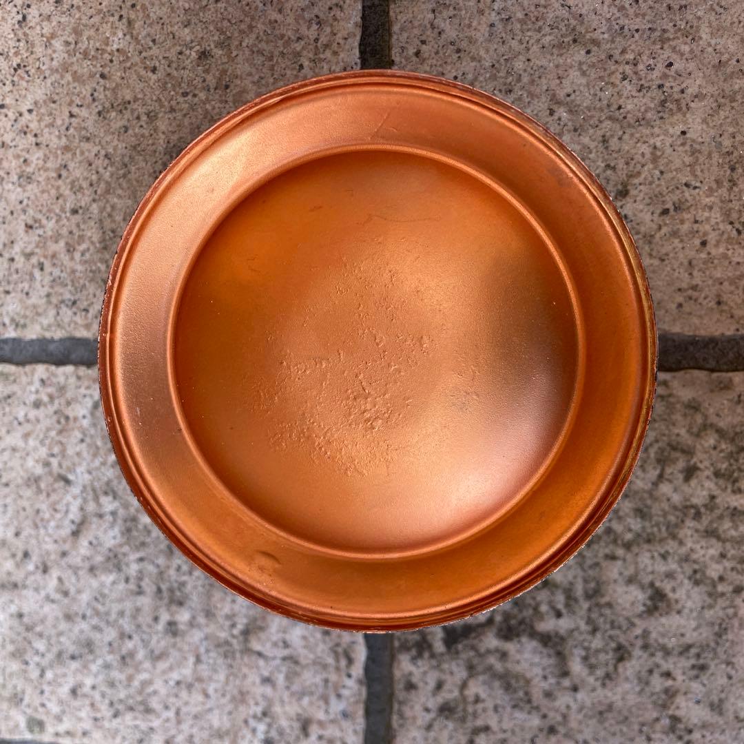 ホエーブス PHOEBUS 725