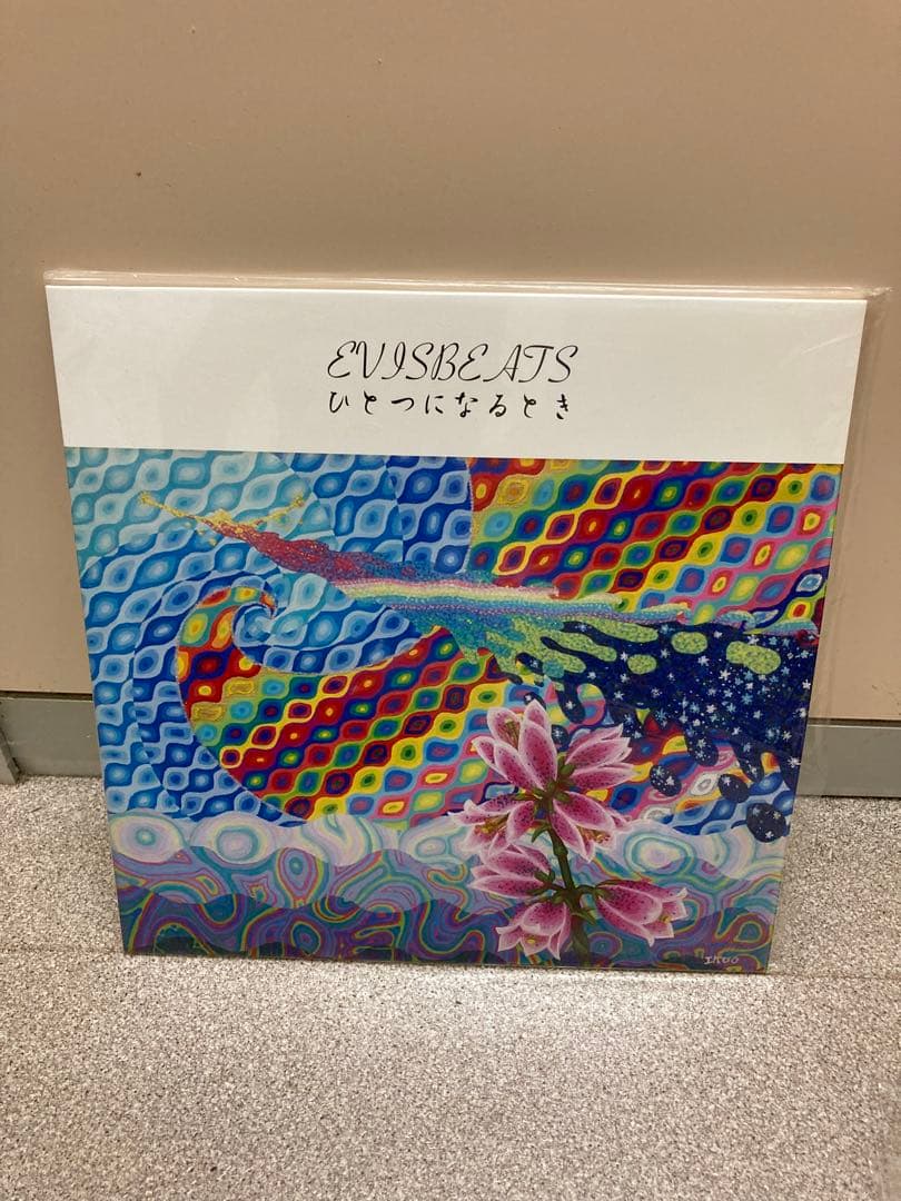 ぎ*ん様 EVISBEATS ひとつになるとき 中古2LPレコード