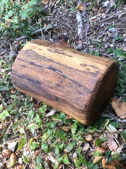 10/24に伐採した楢で作成【薪割り台/椅子/枕】水中乾燥/オイルフィニッシュ済