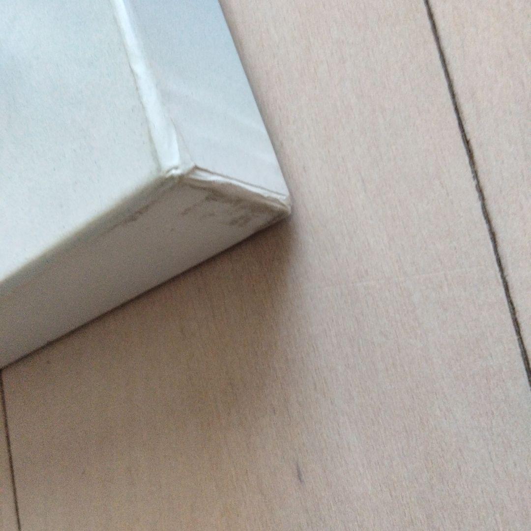 IRON MAIDEN THE FIRST TEN YEARS 国内盤