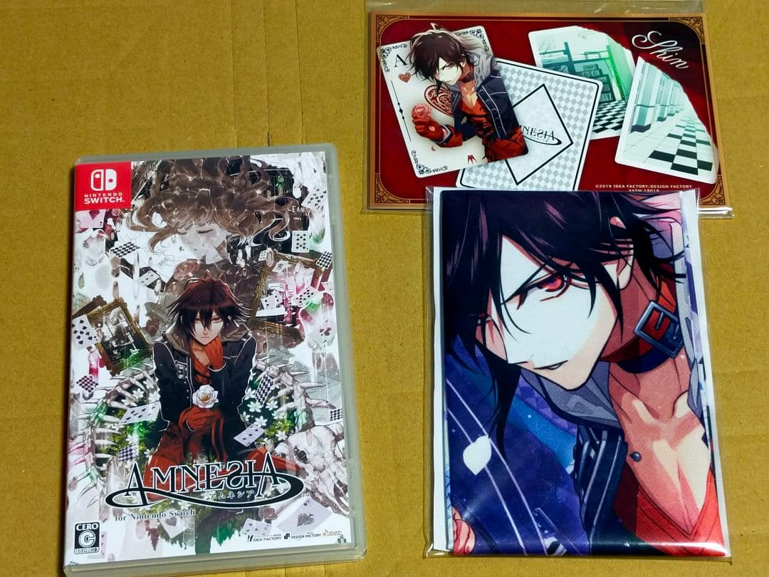 【Switch限定版2個】アムネシア AMNESIA レイター×クラウド