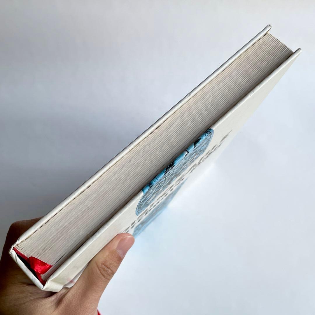 【希少】The DISPOSABLE Skateboard Bible 洋書