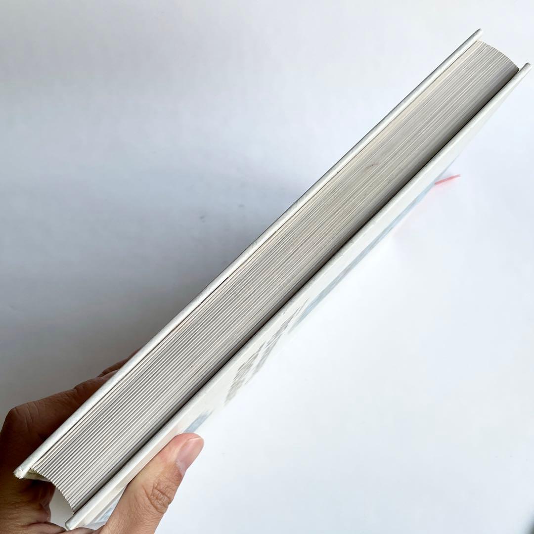 【希少】The DISPOSABLE Skateboard Bible 洋書