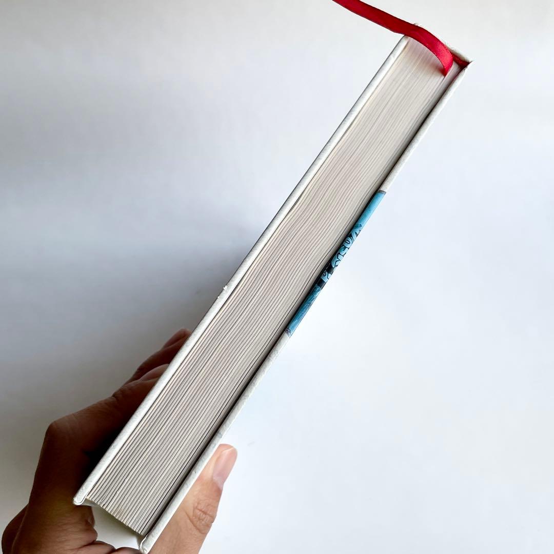 【希少】The DISPOSABLE Skateboard Bible 洋書