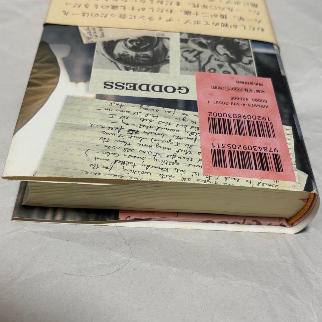 【初版帯付き】グリニッチヴィレッジの青春 スージーロトロ