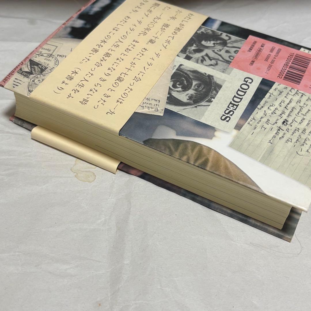 【初版帯付き】グリニッチヴィレッジの青春 スージーロトロ