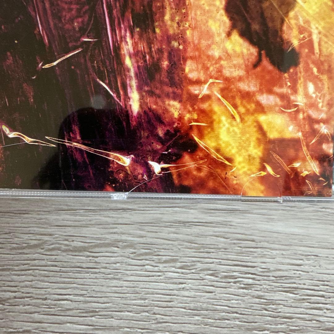 アイ・ブロウト・ユー・マイ・ブリッツ,ユー・ブロウト・ミー・ユア・ラヴ