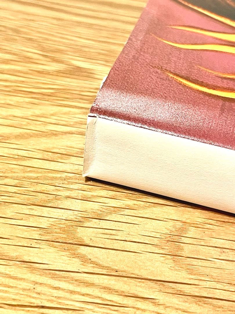 【初版】The Birth of Rockin' Jelly Bean 画集