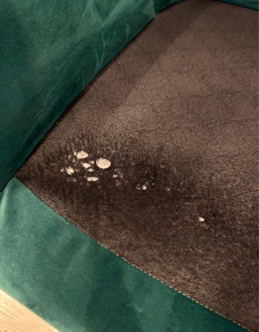 【NOCE】ソファ HELSINKI 3人掛け　グリーン　緑