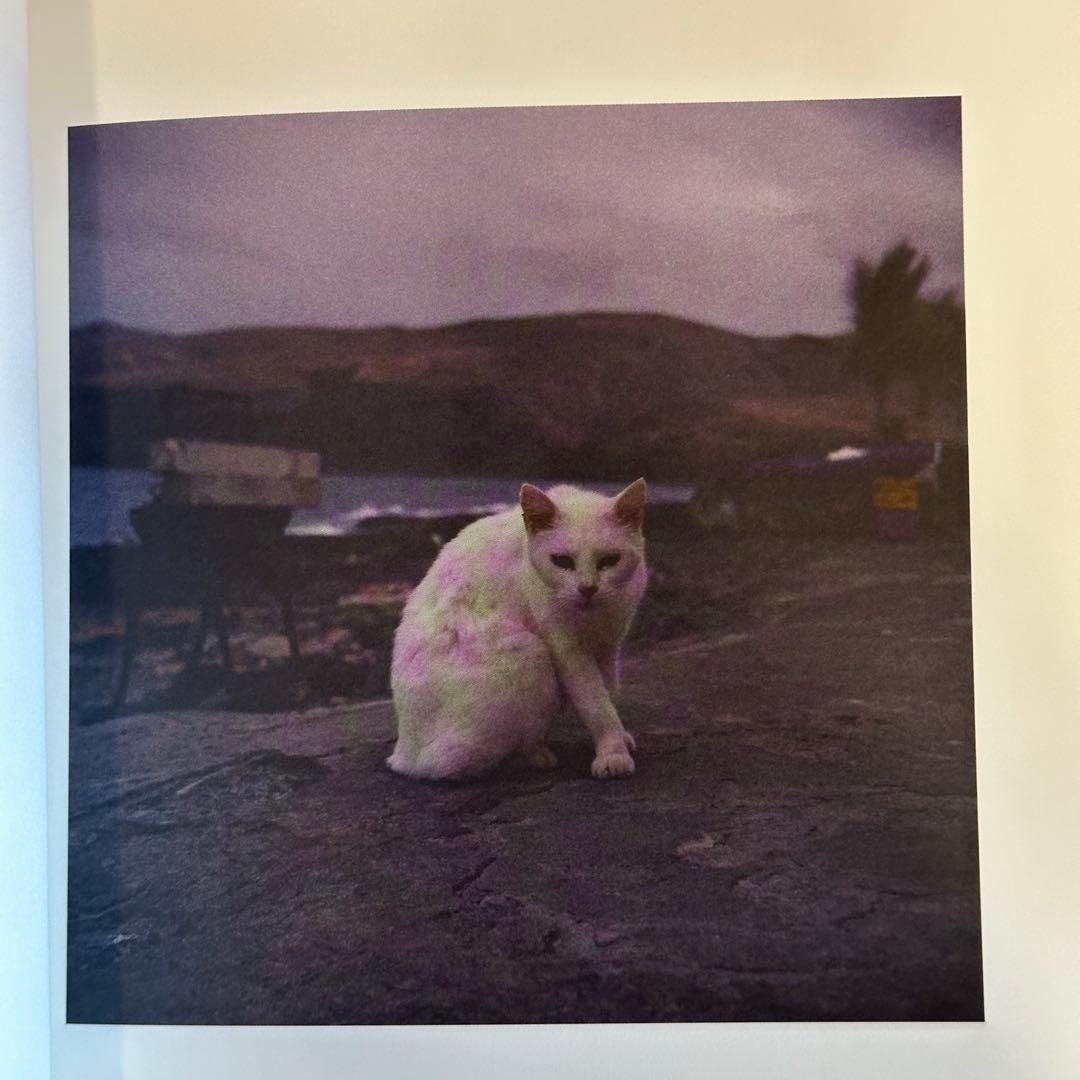 Patrick Taberna パトリック・タベルナ nos vies part