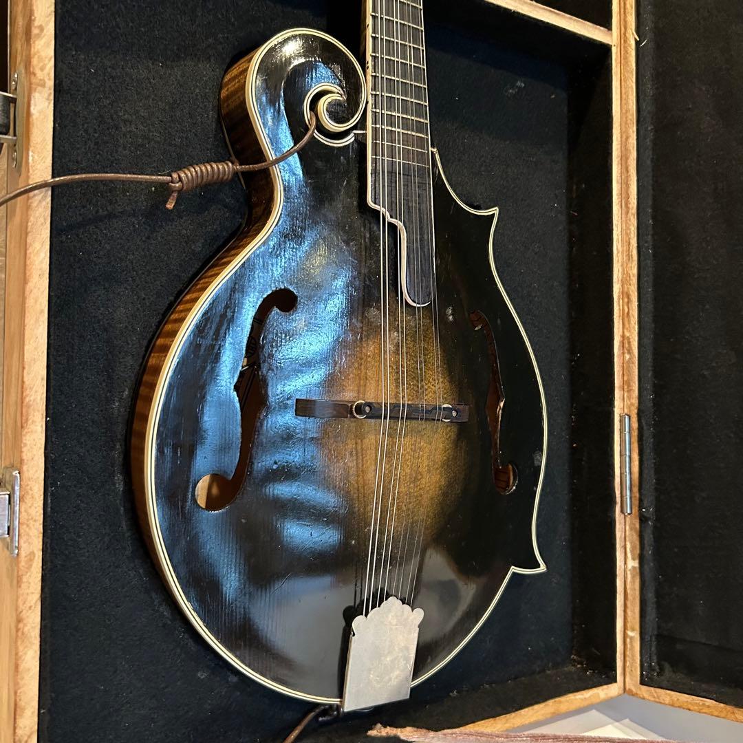 【希少】 junji fujioka フラット マンドリン ケース付