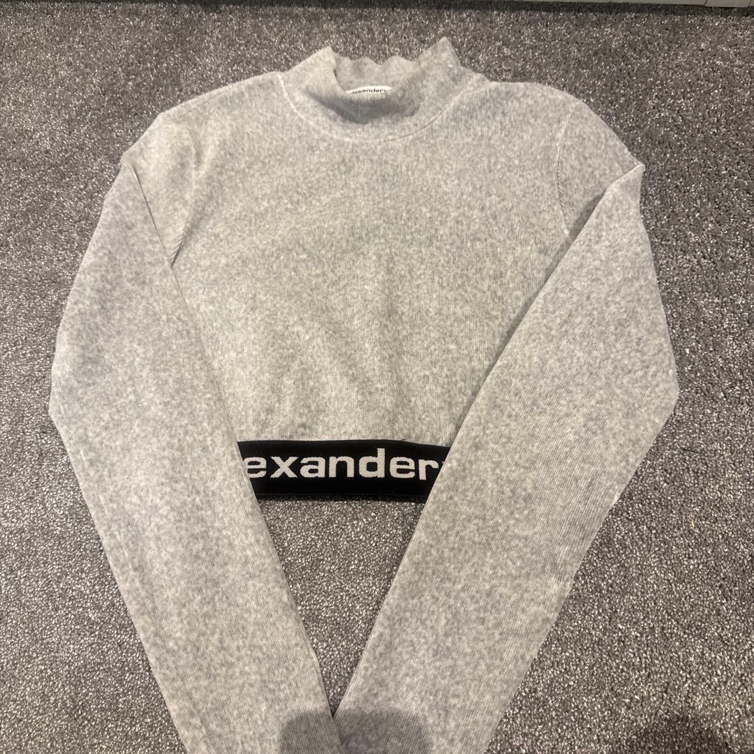 alexanderwang グレー クロップドTシャツ