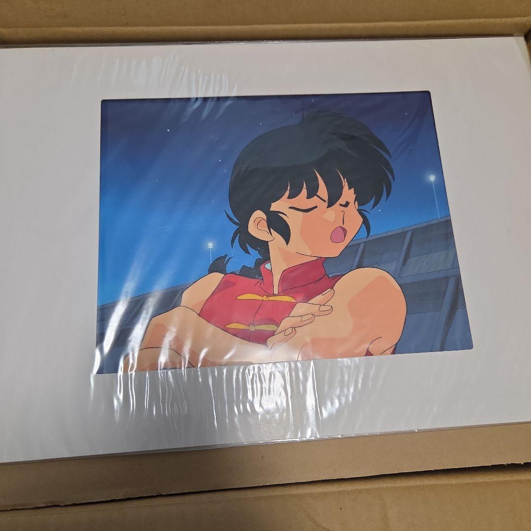 らんま1/2DVD TVシリーズ完全収録版 全40巻 総集編DVD　セル画付き