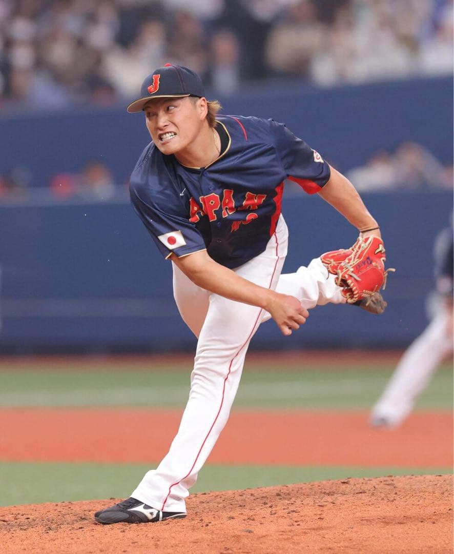 プロ支給品　実使用　岩下大輝　千葉ロッテマリーンズ　ミズノプロ 投手　ヌバック