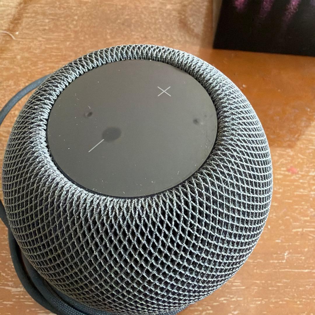 Apple Pod mini スペースグレー 本体