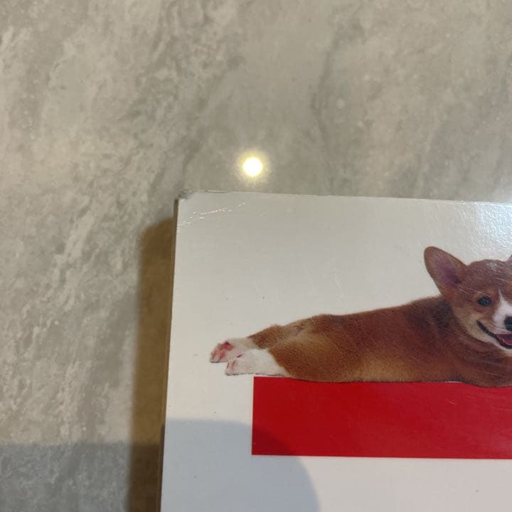 コーギー　エリザベス女王　クイーンズ.コーギー