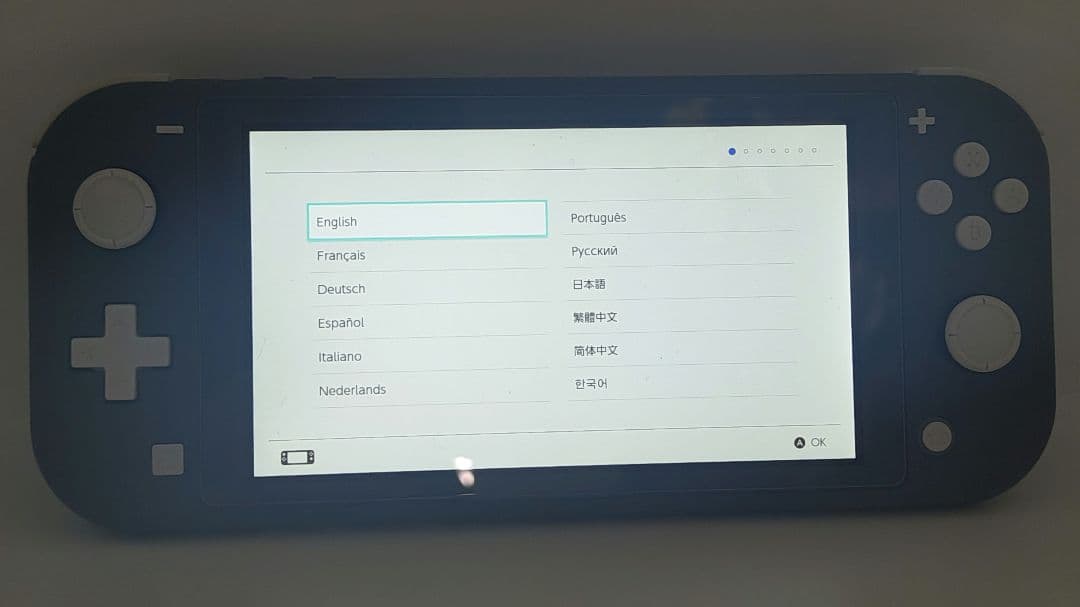 Nintendo Switch Lite グレー 本体　カバー　ケース