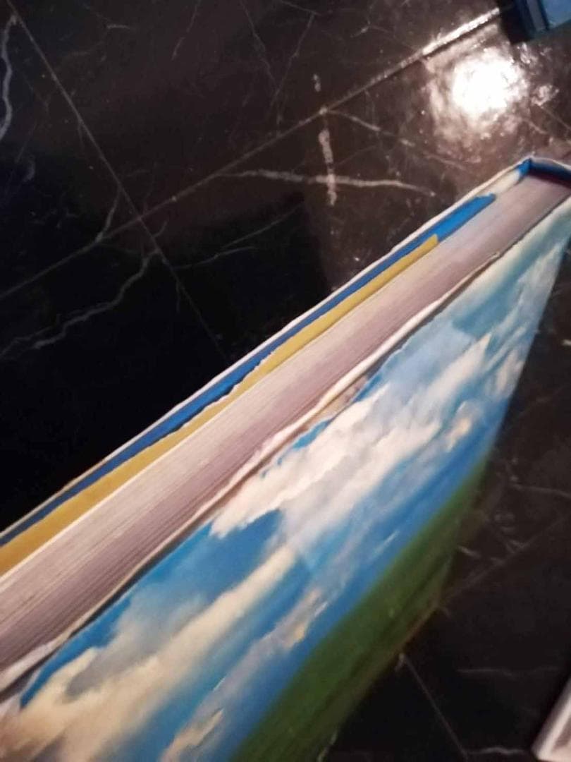 ルーマニア語 写真集 ROMANIA PETRE BARON