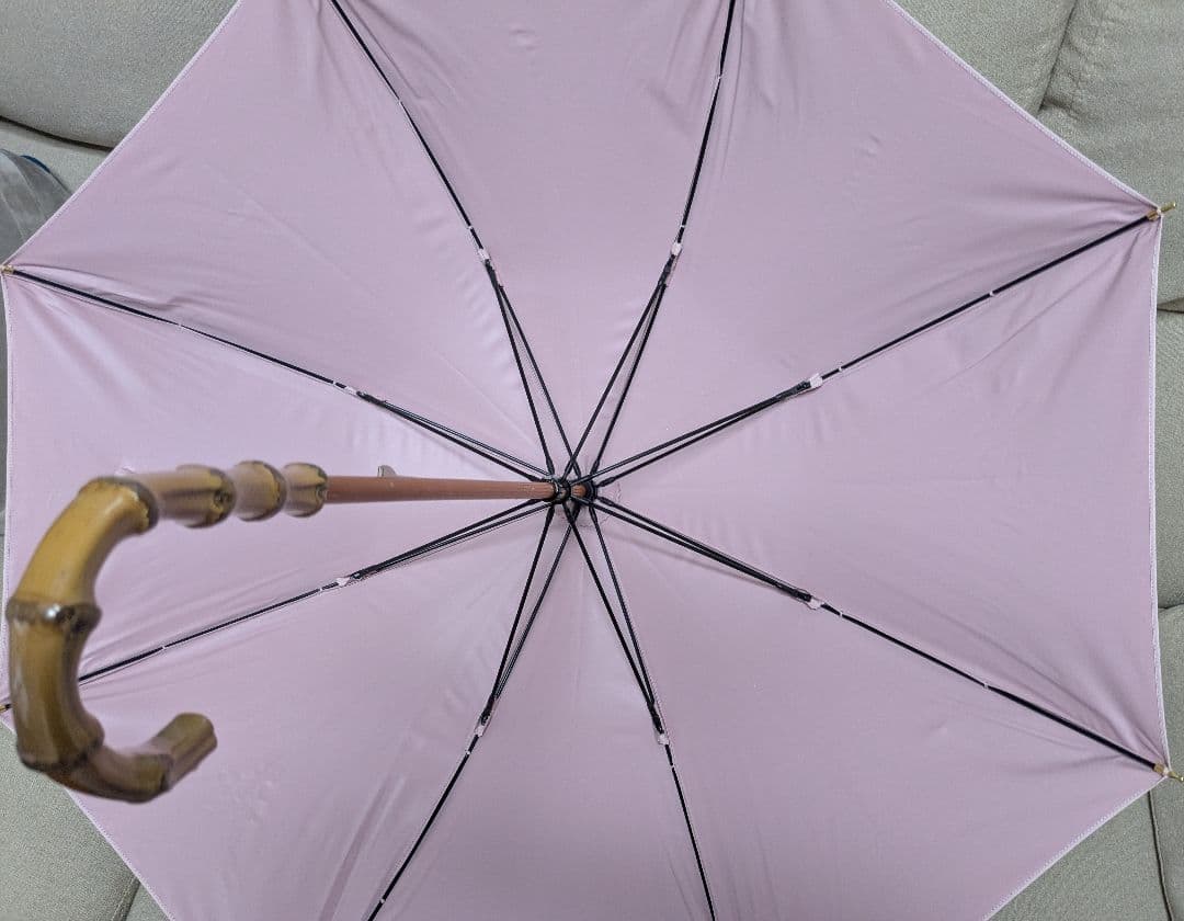 石井美保さん　2025 日傘50センチ