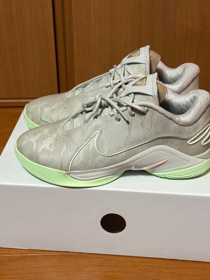 【新品】NIKE ナイキ レブロン 22 EP 26.5㎝