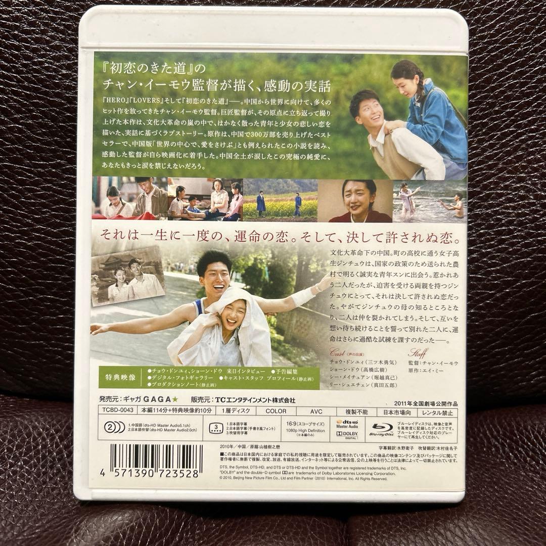 サンザシの樹の下で('10中国)