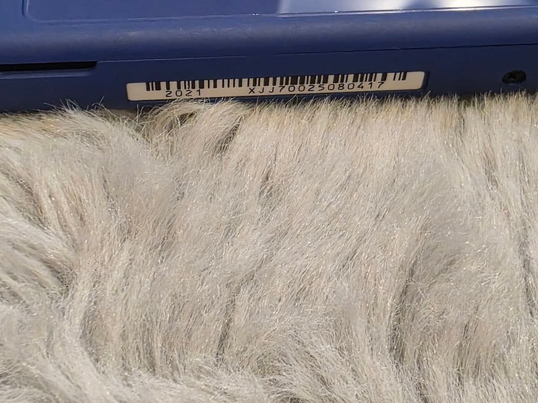 Switchライト ブルー