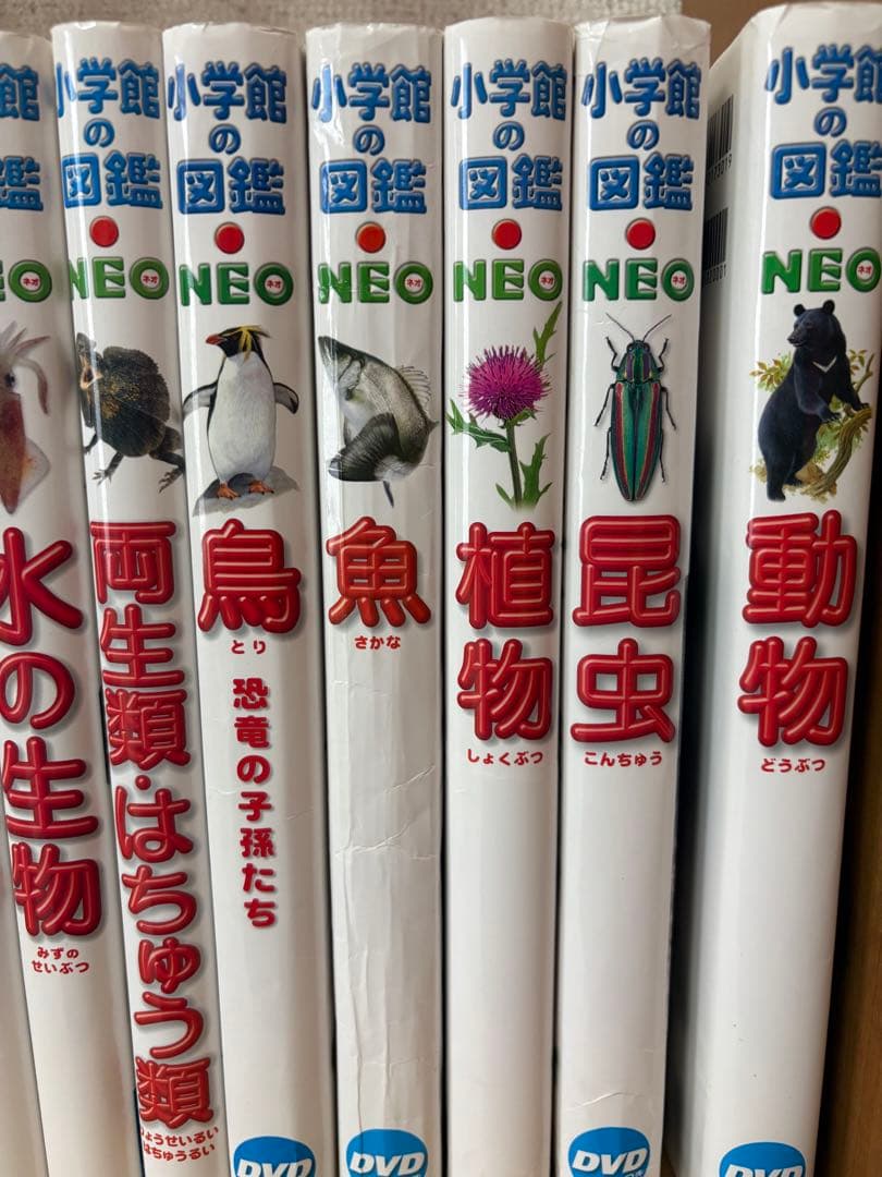 小学館の図鑑NEO 全20巻 DVD付き　まとめ売り